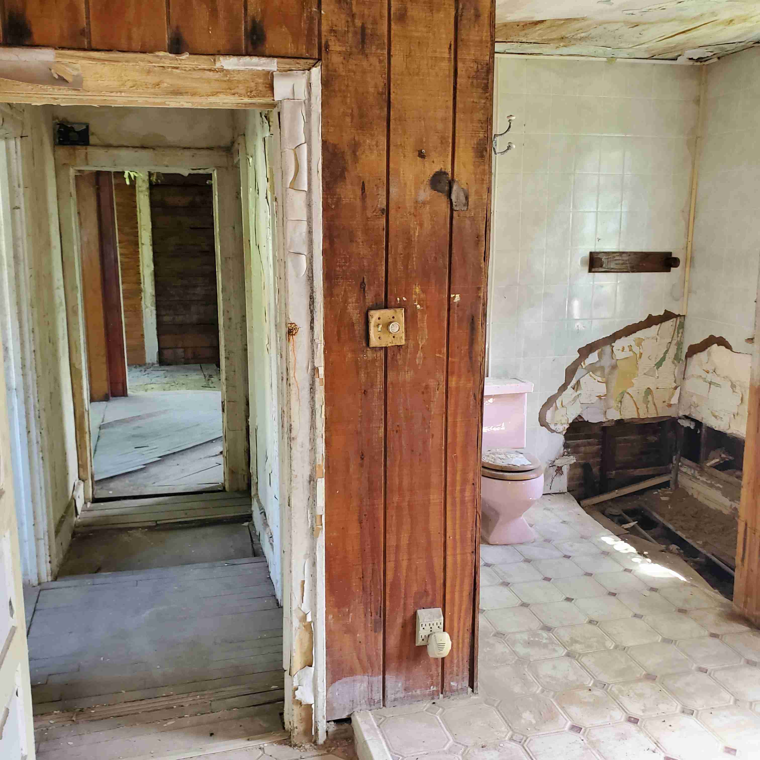 20200812_130434 (2).jpg